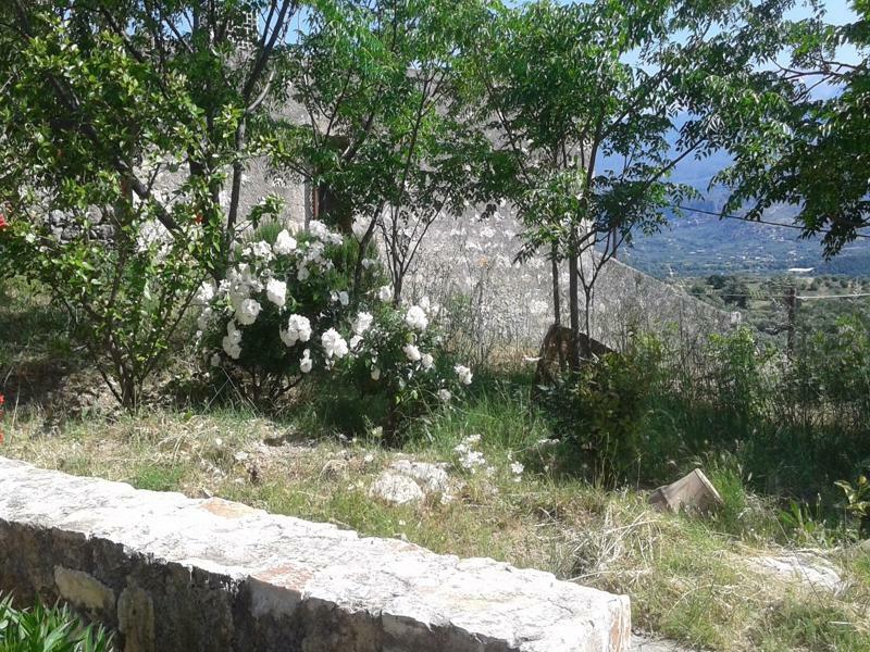 Petra & Elia Villa Megala Chorafia Екстериор снимка
