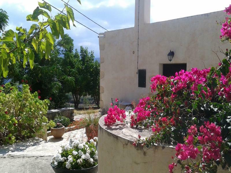 Petra & Elia Villa Megala Chorafia Екстериор снимка