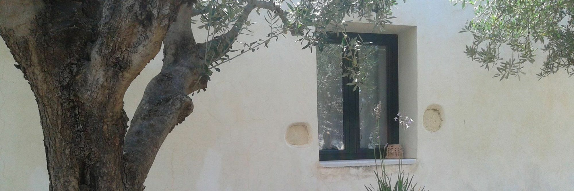 Petra & Elia Villa Megala Chorafia Екстериор снимка