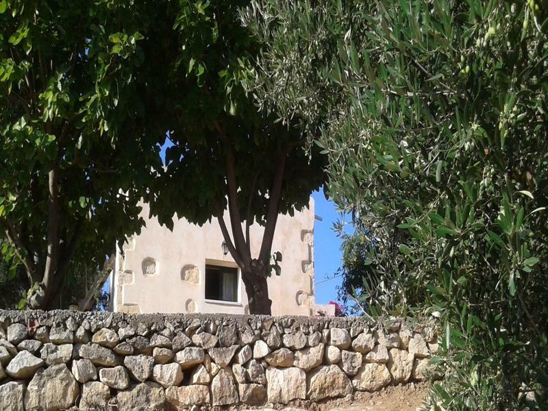 Petra & Elia Villa Megala Chorafia Екстериор снимка